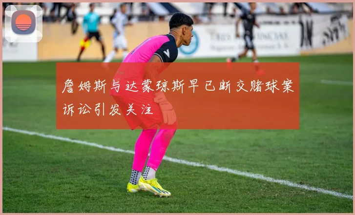詹姆斯与达蒙琼斯早已断交赌球案诉讼引发关注