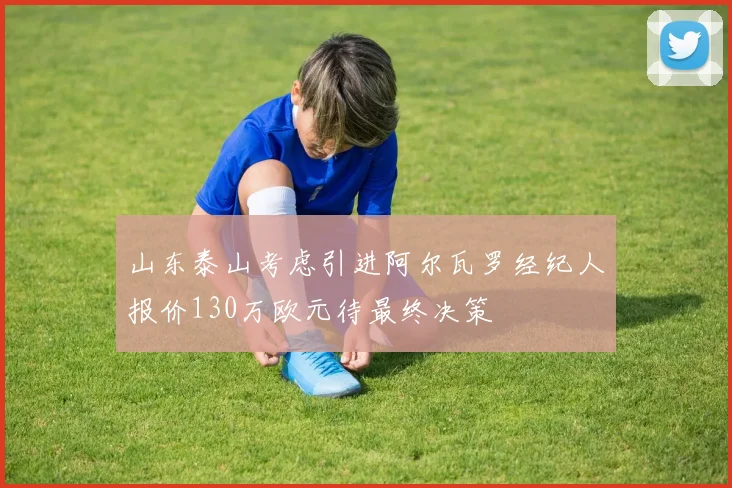 山东泰山考虑引进阿尔瓦罗经纪人报价130万欧元待最终决策
