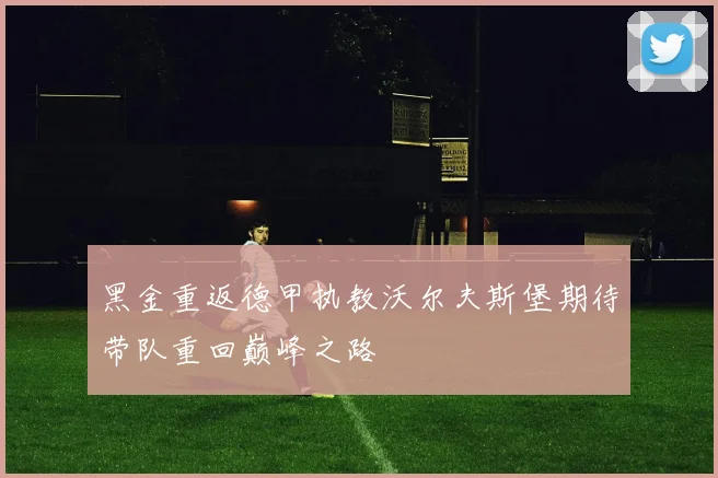 黑金重返德甲执教沃尔夫斯堡期待带队重回巅峰之路