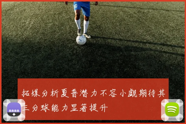 拓媒分析夏普潜力不容小觑期待其三分球能力显著提升